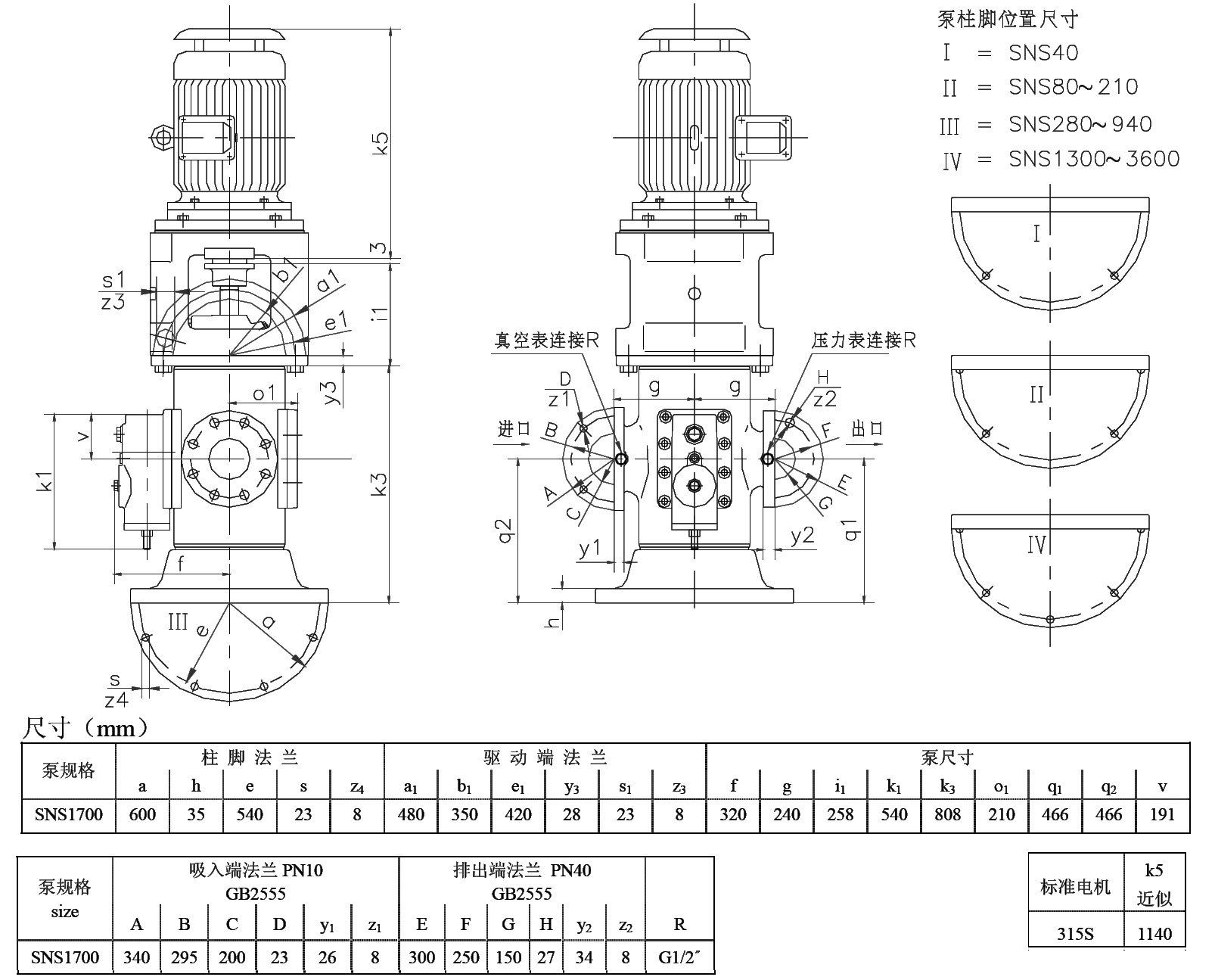 SNS1700-315S.jpg